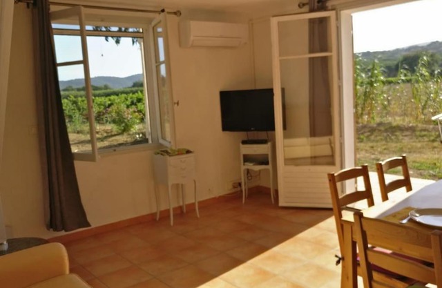 LES VIGNES ET LA PINEDE PRES DE LA PLAGE