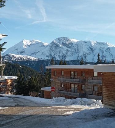 Les Villages du Bachat à Chamrousse 1700 - Droseras D12 Classé 3 étoiles