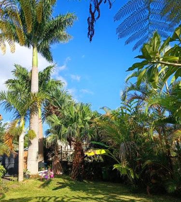 LEU MYOSOTIS Studio dans les Hauts de Saint-Leu Réunion