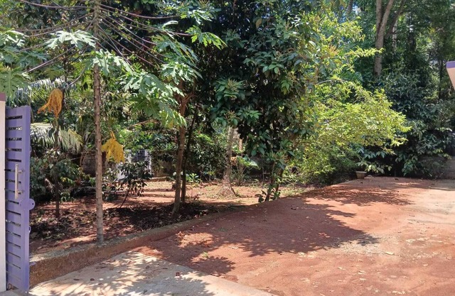 LICENCE TO CHILL HOMESTAY VILLA