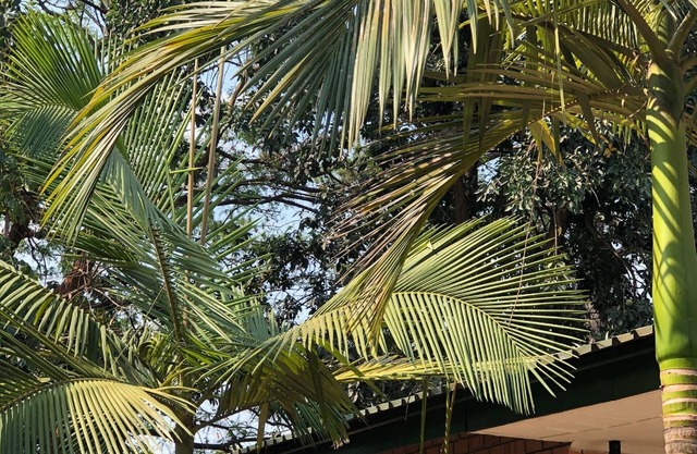 Lifesong Lodge