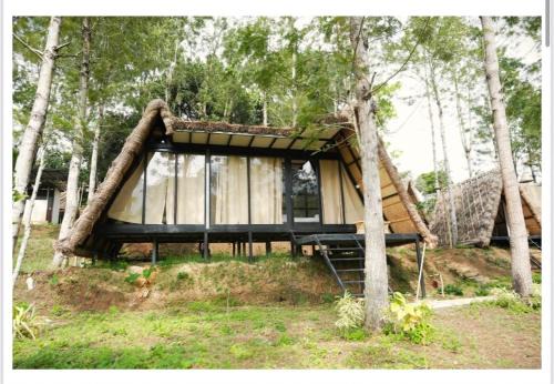 Lil Thatched camp