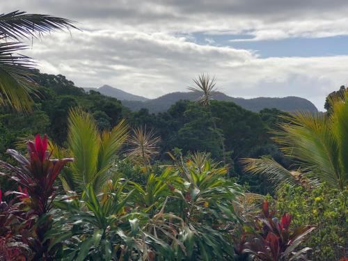 Lilah Blue-Entire Home Rustic Rainforest Private