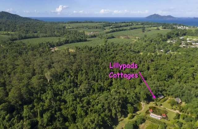 Lillypads Yellow Cottage - Rainforest Getaway