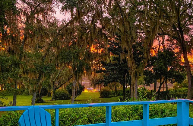 Lily Lake Retreat, acogedor y tranquilo, la escapada perfecta