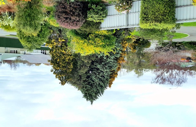 Lilybrook Rangiora Motel