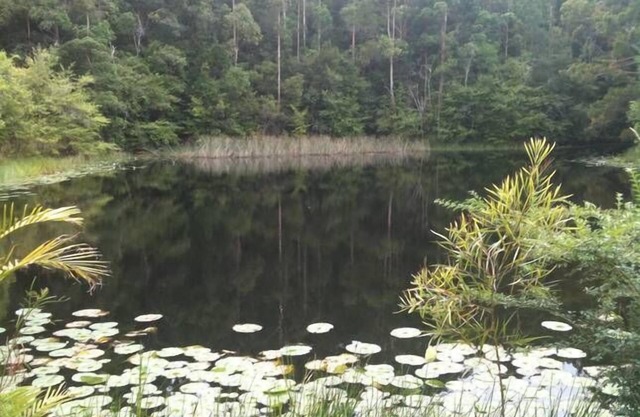Lilypad Lodge en Río Stewarts