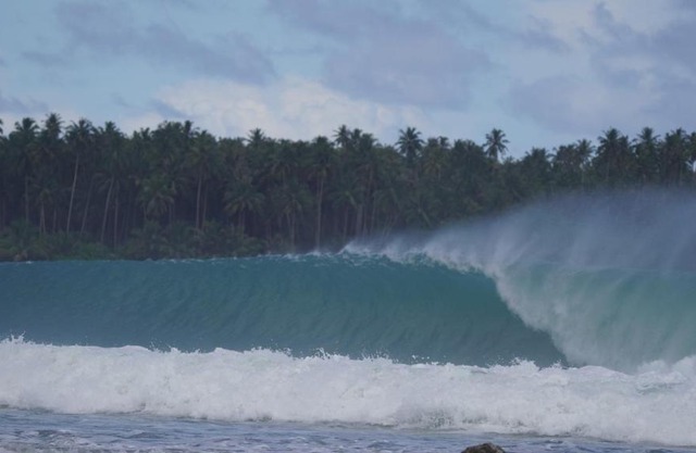 Lilys Nias Surf Camp