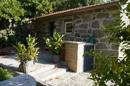 Linden Studio at Terrus Winery