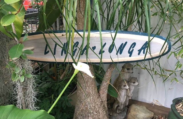 Linga-Longa - estudio de playa