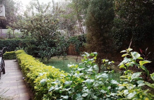 Lisianthus Blossom Hideaway 2BR