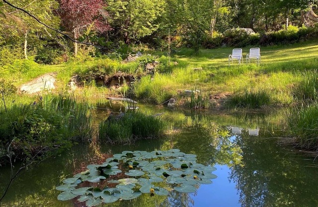 Little Cabin in Middlepoint, Nestled amongst cedars on a private quiet acreage.
