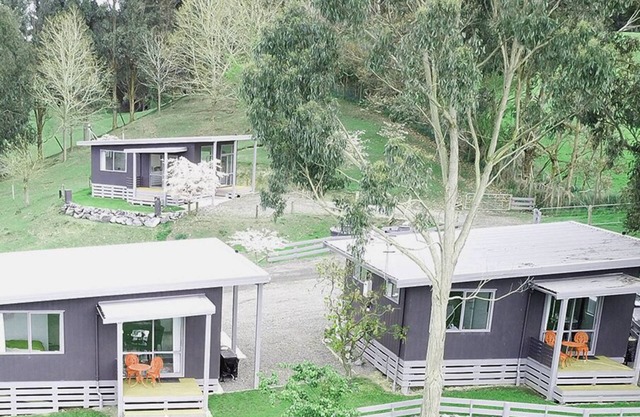 Little Forest Cabins overnight accommodation. No. 1