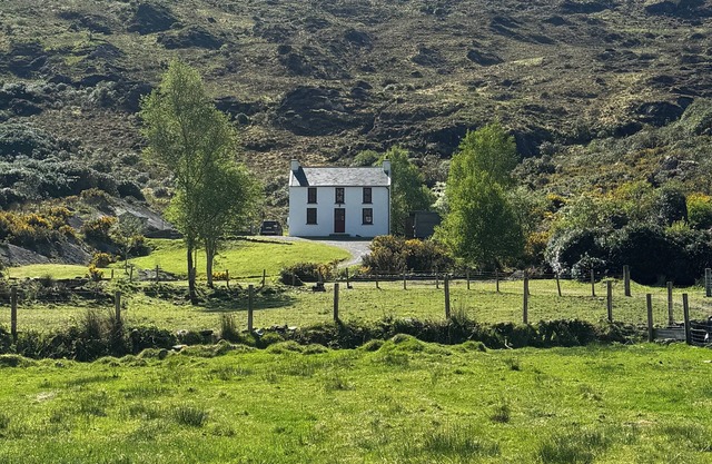 Little Heaven Glengarriff