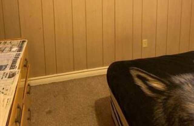 Little Heavens - peaceful home centrally located in Edmonton, AB.