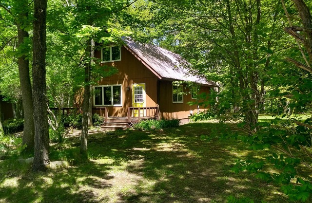 Little house in the woods but only 5 minutes from town!