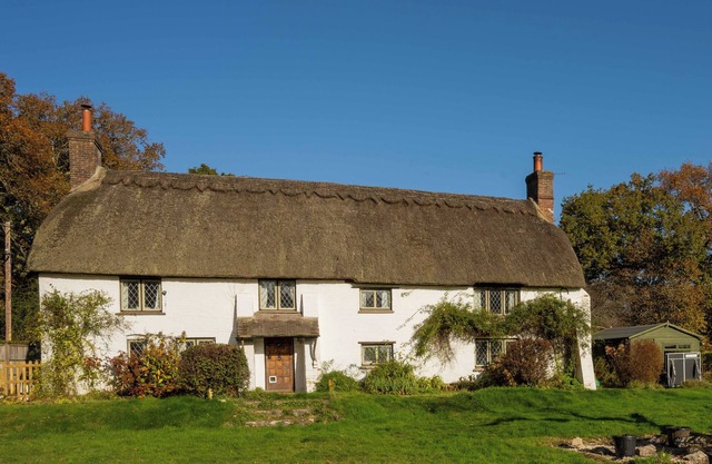 LITTLE LIONS FARM, pet friendly, with a garden in Ringwood
