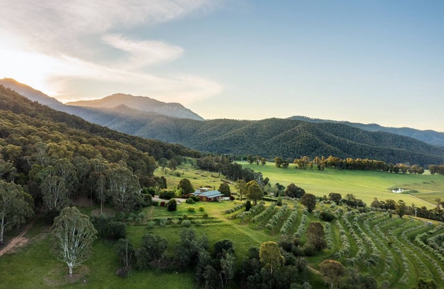 Little Olive Cabin - Nestled into the foot of Mount Buffalo and central to the most popular tourist attractions in the North East of Victoria. Lovers of quirky eclectic style will bask in the retro and vintage vibes of The Little Olive Cabin.