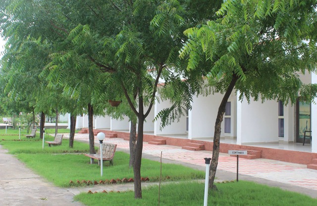 Little Rann Resort