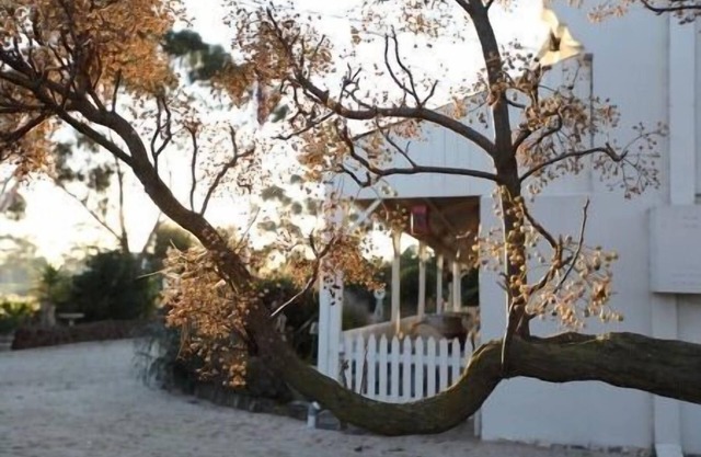 Little River Bed & Breakfast