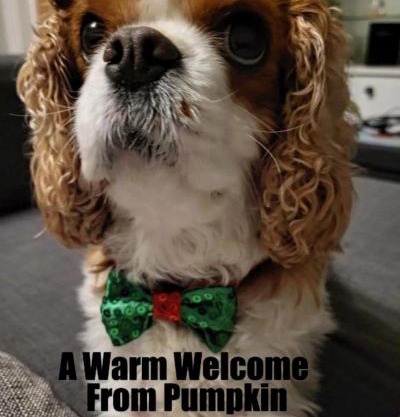 Little Robin Gate - Free Parking - Central - 10 min Walk to Train Station