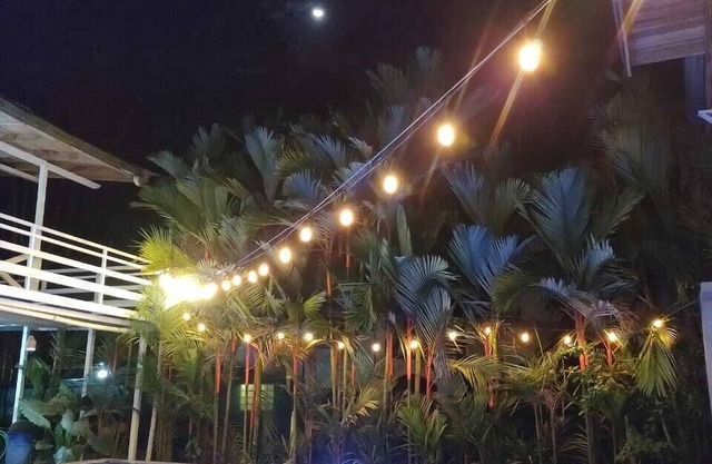 Lizard King Hotel & Suites