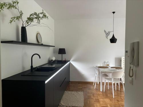 Ljubljanica Apartment