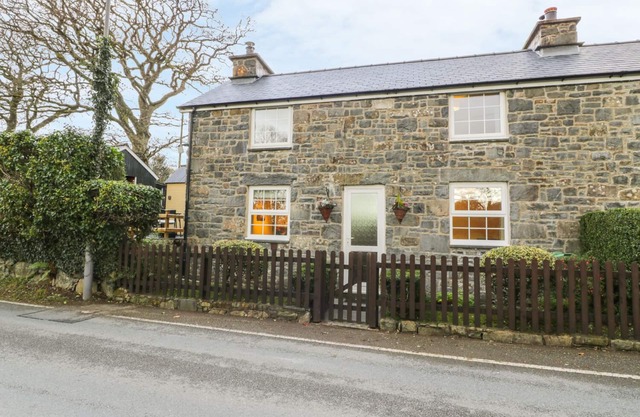 Llwyn Celyn, BRITHDIR