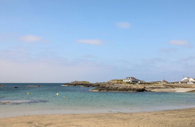 Llwyn Eithin