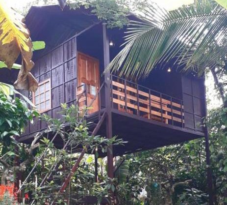Lo Adoro Tree Hut Tourist Homestays