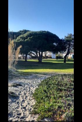 Location appartement les pieds dans l'eau, Résidence Aqua Linda à Poggio-Mezzana