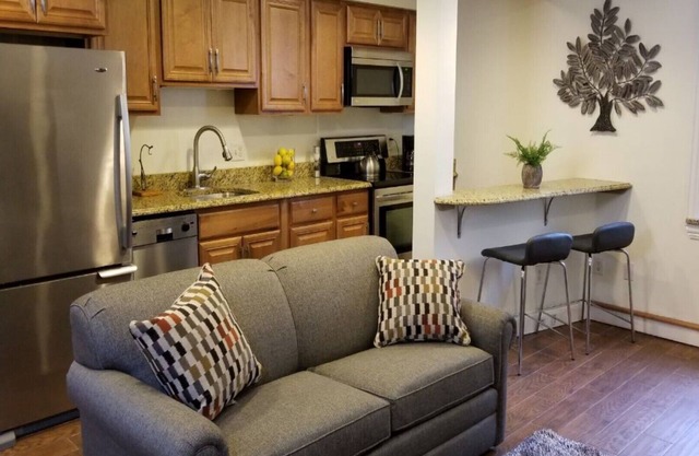 Ubicación, ubicación! Downtown Luxury 1 Bedroom Apt