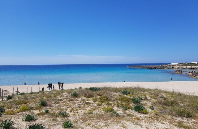 Locazione turistica Le Vele