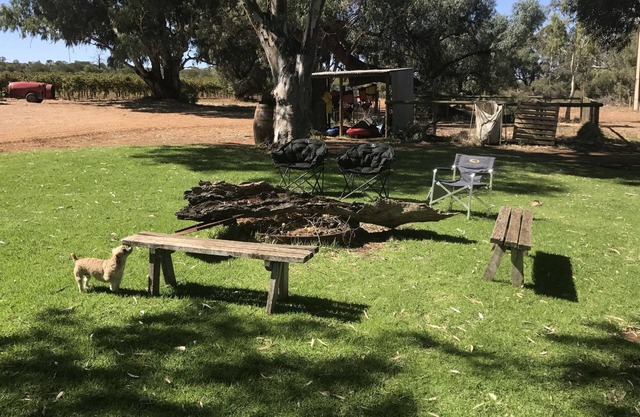 Loch Luna Ecostay Shack
