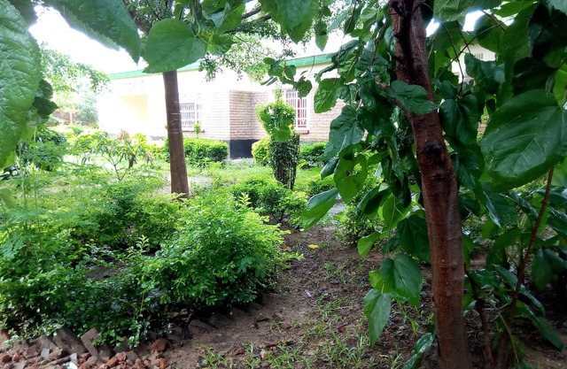 Lodge B Mawira