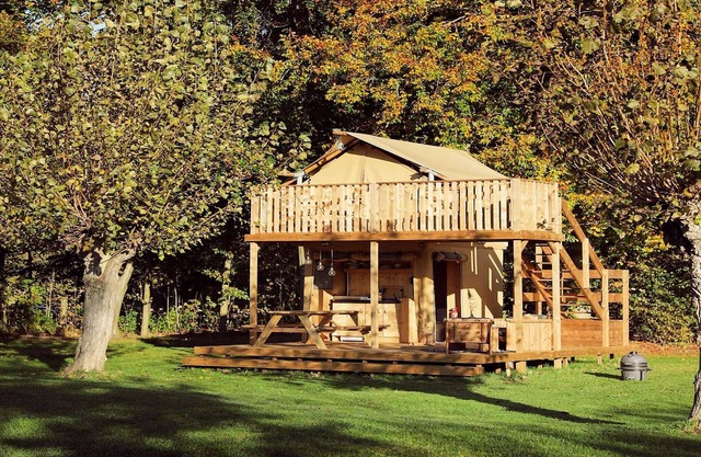 Glamping de lujo en Horsterwold