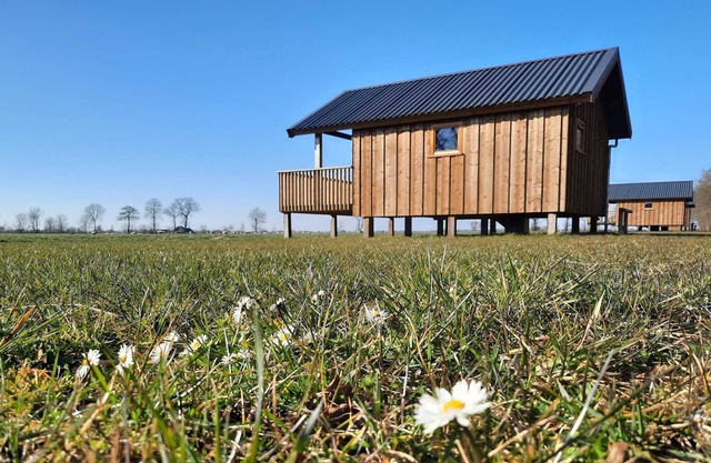 Lodges en Drenthe con Vistas a Praderas