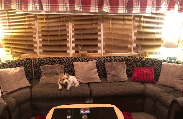 Newton Stewart relaxing static holiday rental