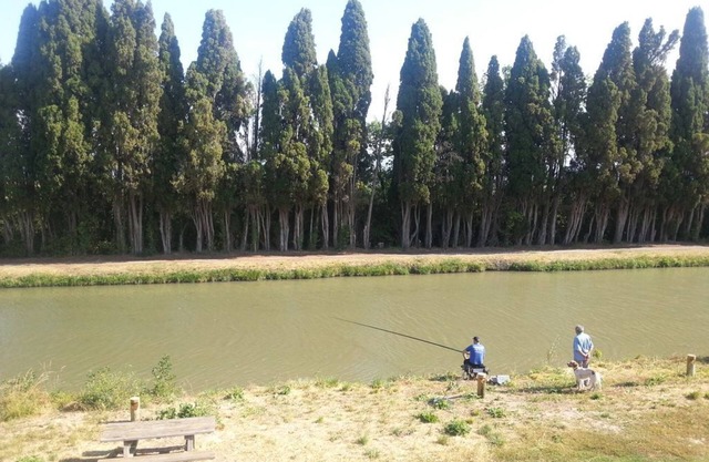 Alojamiento en una antigua bodega a lo largo del Canal du Midi.