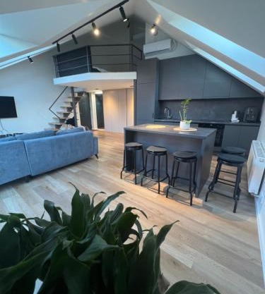 LOFT 1 BD Castle Apartament with free parking