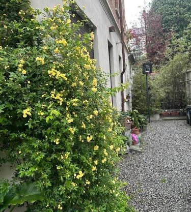 Loft Crimea con patio