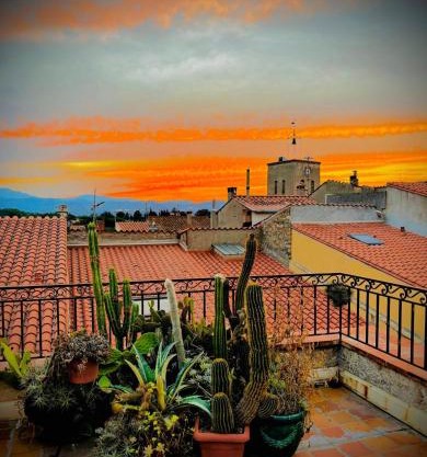 Loft vue Canigou - Maureillas