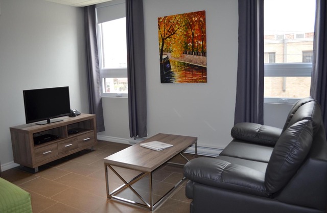 Loft with bed and sofa bed on the rue Principale (Le Chic-urbain)