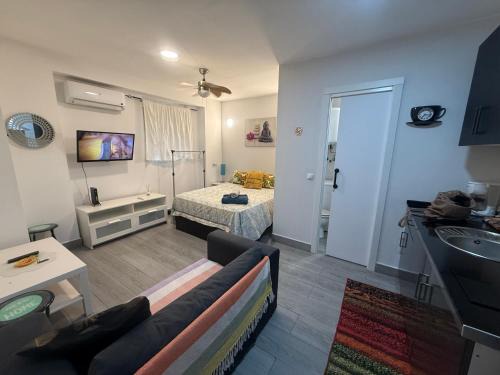 LOFTS ARENAL