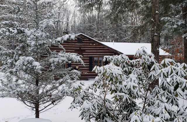 Cabaña de madera en el bosque