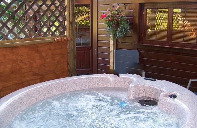 Log Cabin Private Hot Tub & Swimming Pool ,Adults Only,New Forest National Park