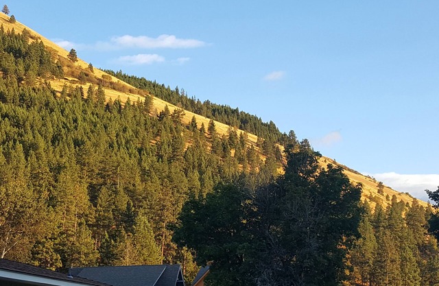 LoloBlue Cottage in Missoula's Rattlesnake