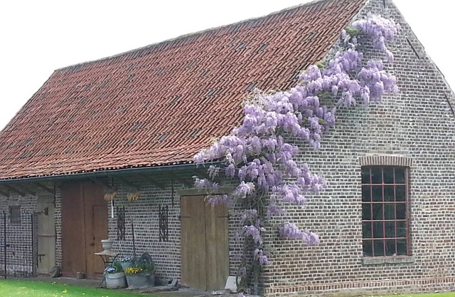 Lomolen B&B