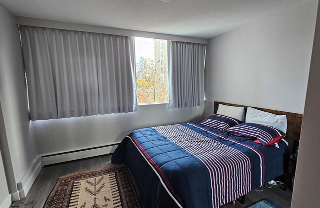 Looking for a roommate/big bedroom