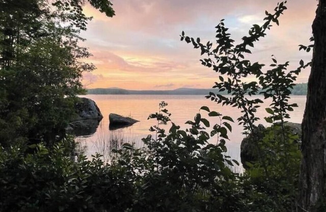 Loon Sound Forest Cottage
